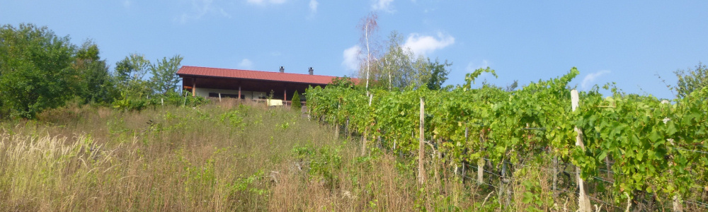 Jeperjek30: het huis, buiten