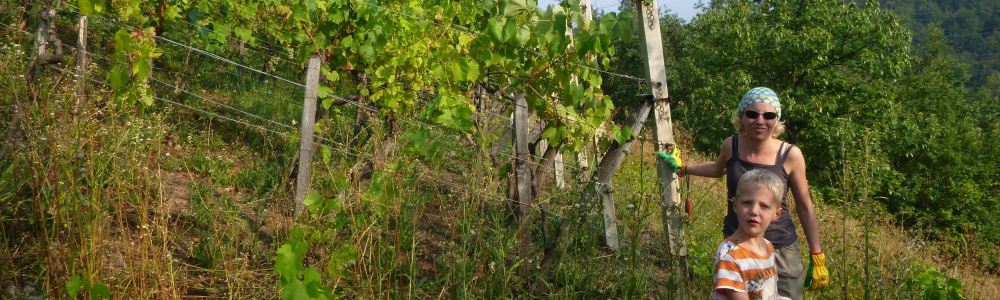 Jeperjek30: het huis, binnen